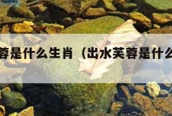 出水芙蓉是什么生肖（出水芙蓉是什么生肖查一下）