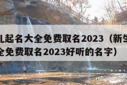 新生儿起名大全免费取名2023（新生儿起名大全免费取名2023好听的名字）