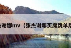 张杰谢娜mv（张杰谢娜买房跳单后续）