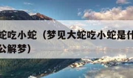 梦见大蛇吃小蛇（梦见大蛇吃小蛇是什么预兆男人周公解梦）