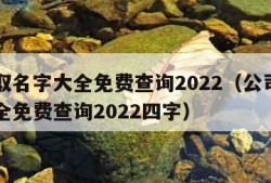 公司取名字大全免费查询2022（公司取名字大全免费查询2022四字）