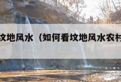 如何看坟地风水（如何看坟地风水农村坟地风水）