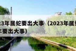 2023年属蛇要出大事（2023年属蛇下半年要出大事）