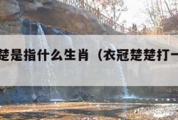 衣冠楚楚是指什么生肖（衣冠楚楚打一最佳生肖）