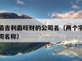 二个字最吉利最旺财的公司名（两个字吉利好听的公司名称）