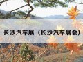 长沙汽车展（长沙汽车展会）