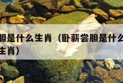 卧薪尝胆是什么生肖（卧薪尝胆是什么生肖打一数字生肖）