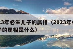 2023年必生儿子的属相（2023年必生儿子的属相是什么）