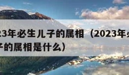 2023年必生儿子的属相（2023年必生儿子的属相是什么）