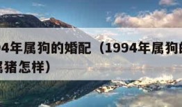 1994年属狗的婚配（1994年属狗的婚配属猪怎样）