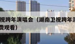 湖南卫视跨年演唱会（湖南卫视跨年演唱会2025免费观看）