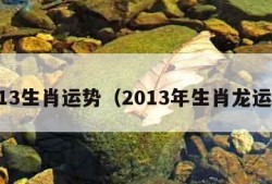 2013生肖运势（2013年生肖龙运势）